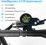 JOYOR Y8-S Offroad E-Scooter, 100 km Reichweite – Bild 4