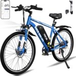 RCB E-Bike RK15 – 26 Zoll Pedelec mit 10